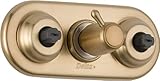 Delta T18017-CZ Jetted Module Diverter Trim, Champagne Bronze