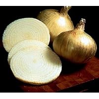 Sweet Granex Onion 80 Seeds as Grown in Maui Hawaii