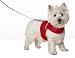 Mesh Harness/Leash Red - Extra Small