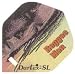 Sports : Darters Darts Slot Lock-Flights 2D 2111