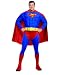Search : Adults' Plus Size Supergirl Costume