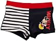 mickey mouse costumes