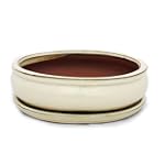Bonsai-Schale mit Unterteller, oval,...