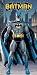 Batman In The City Beach Towel