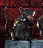 Review Pams  / Large Halloween Party Props | Large Hairy Rat