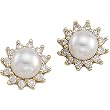 14K Yellow Gold Akoya Cultured Pearl and Diamond Earrings - 6.00mm