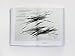 Raymond Pettibon: Homo Americanus