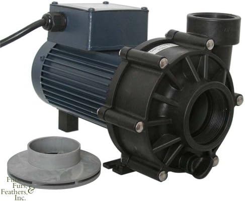 ReeFlo11141 Utility Dart/Snapper Hybrid Pump