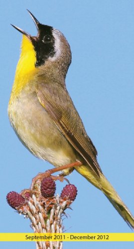 2012 Backyard Birds Pocket Calendar