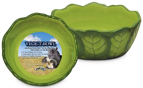 Super Pet Vege-T-Bowl, Cabbage, 16 Ounces