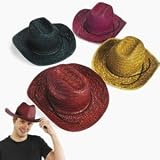 Adult's Assorted Straw Cowboy Hats (1 dz)