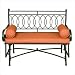 Pinnacle Strategies K81541-C 45-Inch Metal Glider Loveseat with Cushion