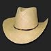 RAFFIA STRAW WESTERN COWBOY FASHION HAT HATS
