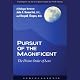 Pursuit of the Magnificent: The Divine Order of Love