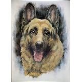 41kRtiOwkML. SL160  German Shepherd Poster