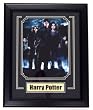 Harry Potter Cast 8x10 Framed w/Plate