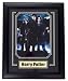 Harry Potter Cast 8x10 Framed w/Plate