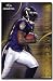 Baltimore Ravens (Willis McGahee) Sports Poster Print - 24