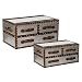 Stainless Steel Trunk Set Of 2