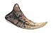 Utahraptor Claw Replica
