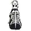 Casual Canine Glow Bones Costume Lrg