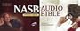 Stephen Johnston Bible-NASB-Voice Only