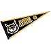 Kennesaw State Owls 12 in X 30 in Pennant