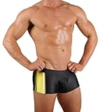 MENS SIDE INSERT STRIPE BOXER MIDCUT SWIMSUIT BY GARY MAJDELL SPORT