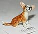 Little Critterz Chihuahua Rascal - Dog Multicolour Home Decor Animal Miniature Porcelain Figurine