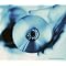 know the Porcupine Tree cd's in their order of release.