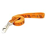 NFL Cincinnati Bengals Orange 6' Leash (Large)