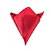 Hello Tie Men's Solid Color Pocket Squares Handkerchiefs 6pcs/lot Set 4