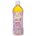 神戸居留地 ジャスミン茶ペット 500ml×24本