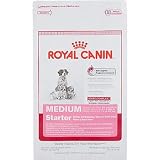 Royal Canin Medium Starter Mother & Babydog Dry Dog Food