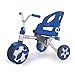 Little Tikes Fold 'n Go 4-in-1 Trike, Blue/Grey