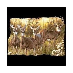 Deer~power & Grace Adult Sweatshirt