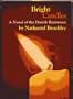 Bright Candles: A Novel of the Danish Resistance