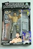 Eigenschaften Jakks Pacific Toys / Wrestling-Figuren Deluxe Aggression Serie 10 Daivari