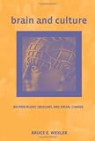 Brain and Culture: Neurobiology, Ideology, and Social Change (Bradford Books)