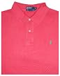 Men's Polo by Ralph Lauren Big and Tall Short Sleeve Polo Shirt Weathered Sunset