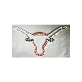 University of Texas Longhorns - Pin w/multi color Rhinestone Bevo Steerhead Logo