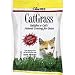 Gimborn GimPet Cat Grass