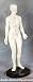 Acupuncture Posed 19" Plastic Model - Woman- New by AME