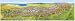 Third Party New : Das Gro&szlig;e Alpen-Panorama Sommer 1-seitig, plano 214,5 x 60,6 cm