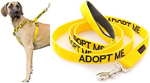 Color Coded Non-pull Dog Harness & Leash Set, PREVENTS Accidents By Warning Others of Your Dog in Advance! "Caution, No Dogs, Friendly, Nervous, Blind Dog, Deaf Dog, Training, Adopt Me, Working, Do Not Feed" (Yellow Adopt Me (New Home Needed)