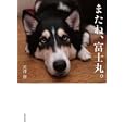 またね、富士丸。<br>穴澤 賢著 <br>世界文化社<br>1575円<br>ISBN:9784418105083