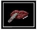 Mr. Brightside Lyrics Poster-created Using the Lyrics to the Killers Chart Topping Hit