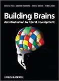 Building Brains: An Introduction to Neural Development