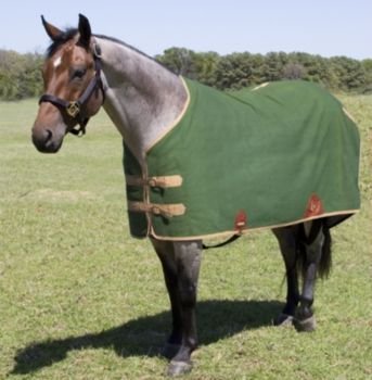 Mustang Canvas Turnout Blanket 74In Green