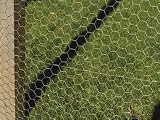 Review Netlon  / Netlon Galvanised.Wire Netting 900mmx50mmx5M